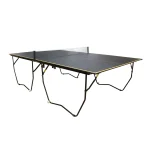 Mesa de Ping Pong Profesional Negra