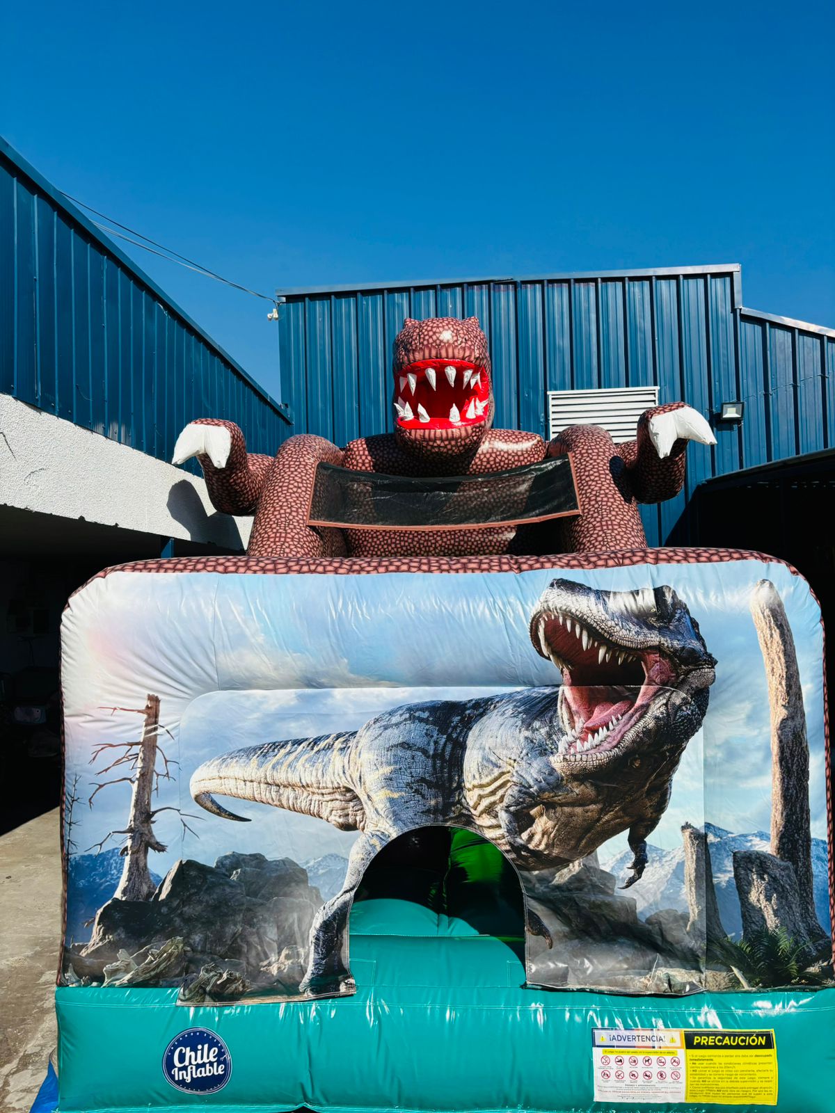 Tobogán T-Rex 5x3 - Imagen 2